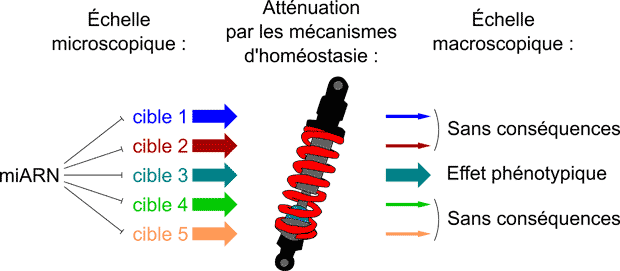 figure 3 fr