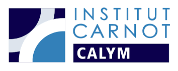 Institut Carnot - Calym