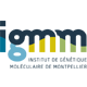logo IGMM
