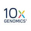 logo 10x