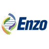 logo enzo